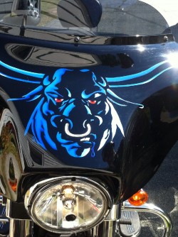 Bulls fairing